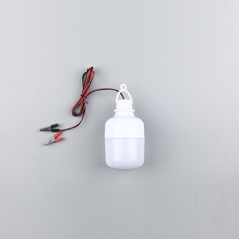 Светодиодная лампа-dc12v 24v